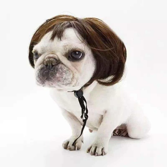Dog Wig 🎃 Hysterical Funny Gift Puppy Halloween Costume - Picture 5 of 5